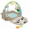 Fisher Price Γυμναστήριο – Βραδύπους (GNB52) -Επιτραπέζια παιχνίδια & κάρτες Εκπτώσεις 698226
